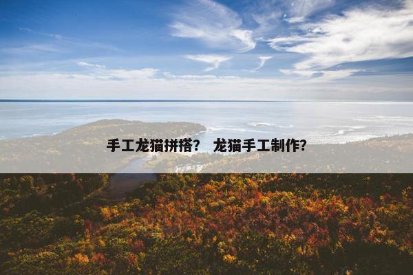 手工龙猫拼搭？ 龙猫手工制作？