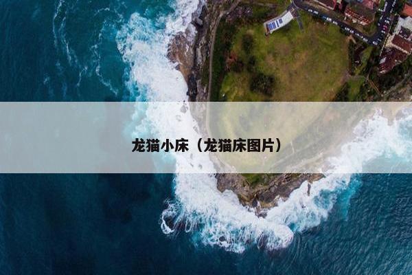龙猫小床（龙猫床图片）