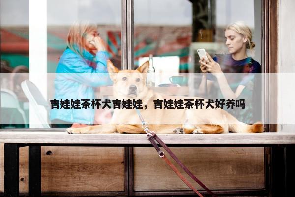 吉娃娃茶杯犬吉娃娃，吉娃娃茶杯犬好养吗