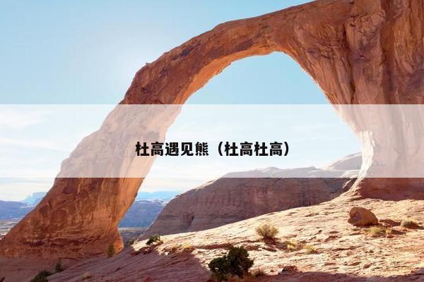 杜高遇见熊（杜高杜高）