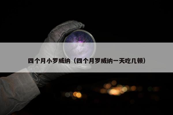 四个月小罗威纳（四个月罗威纳一天吃几顿）