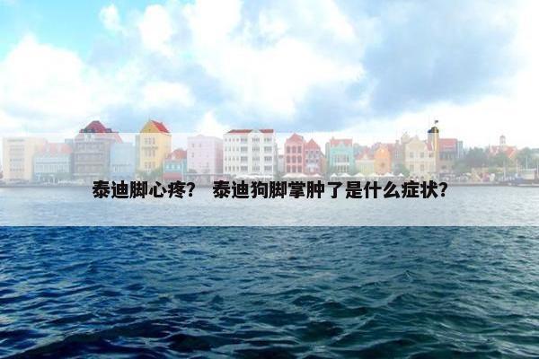 泰迪脚心疼？ 泰迪狗脚掌肿了是什么症状？