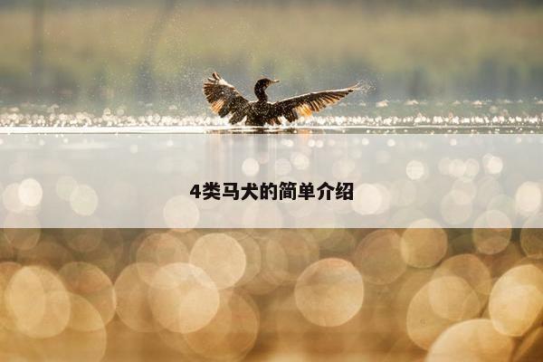 4类马犬的简单介绍