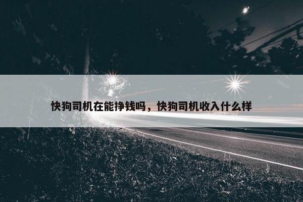 司机