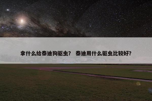 拿什么给泰迪狗驱虫? 泰迪用什么驱虫比较好?