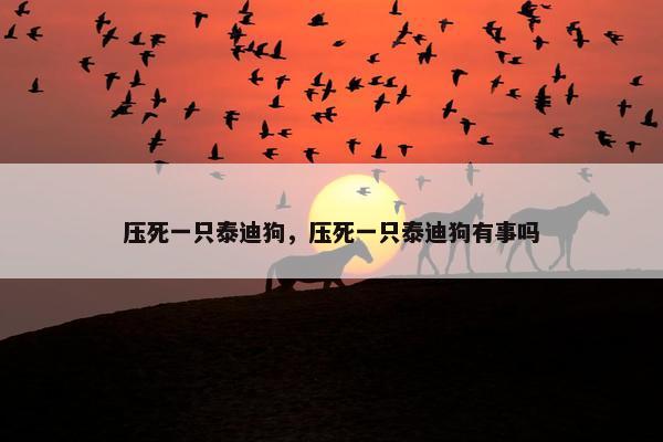 压死一只泰迪狗,压死一只泰迪狗有事吗