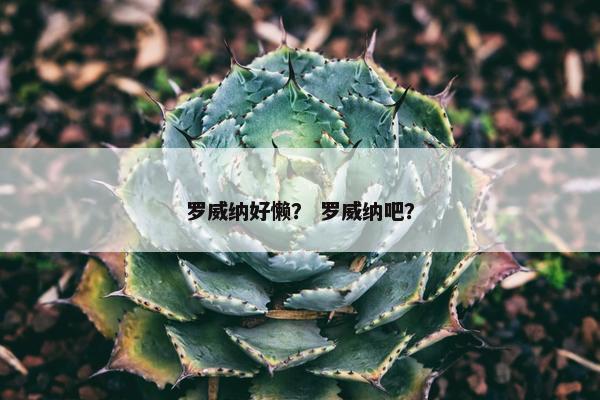 罗威纳好懒? 罗威纳吧?