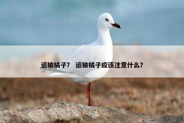 运输橘子？ 运输橘子应该注意什么？