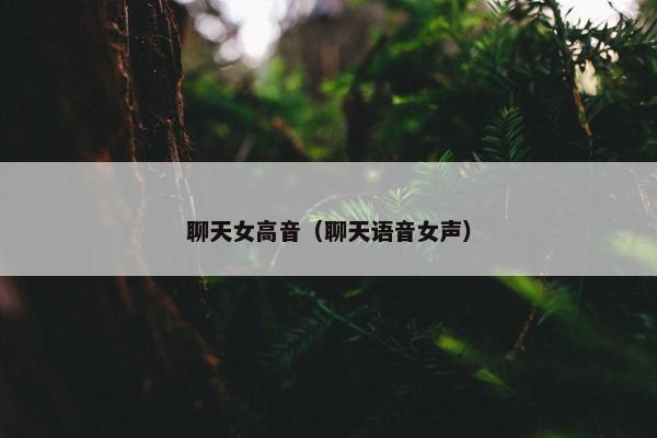 聊天女高音(聊天语音女声)