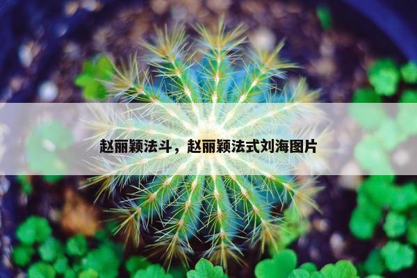 赵丽颖法斗，赵丽颖法式刘海图片