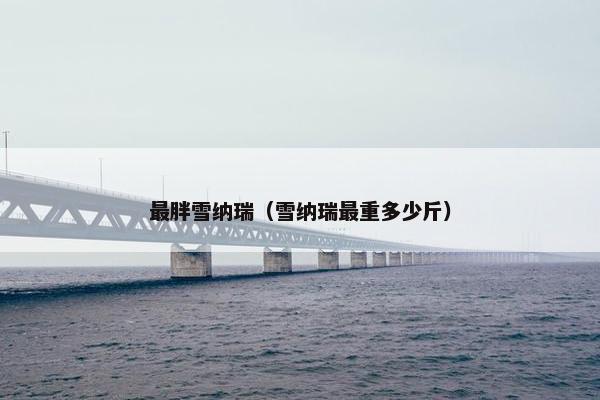 最胖雪纳瑞（雪纳瑞最重多少斤）
