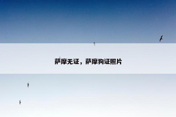 萨摩无证，萨摩狗证照片