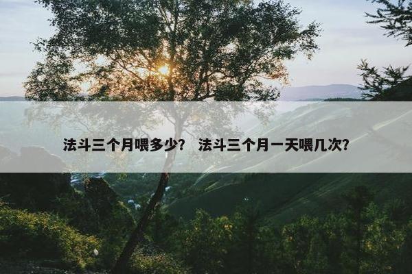 法斗三个月喂多少？ 法斗三个月一天喂几次？