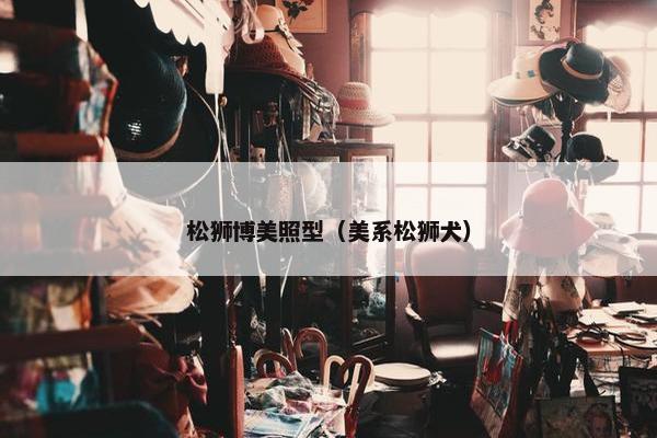 松狮博美照型（美系松狮犬）