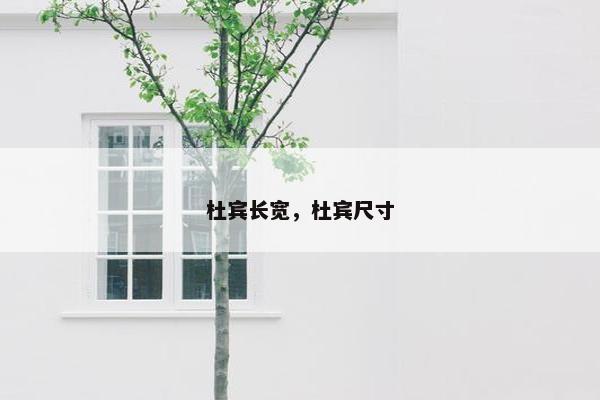 行李