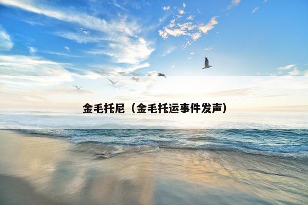 金毛托尼(金毛托运事件发声)