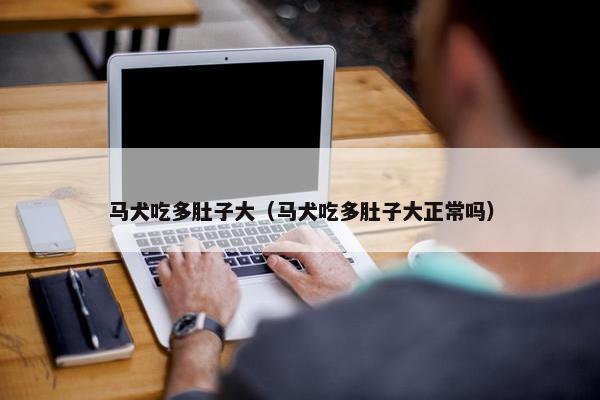 马犬吃多肚子大（马犬吃多肚子大正常吗）