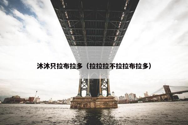 沐沐只拉布拉多(拉拉拉不拉拉布拉多)