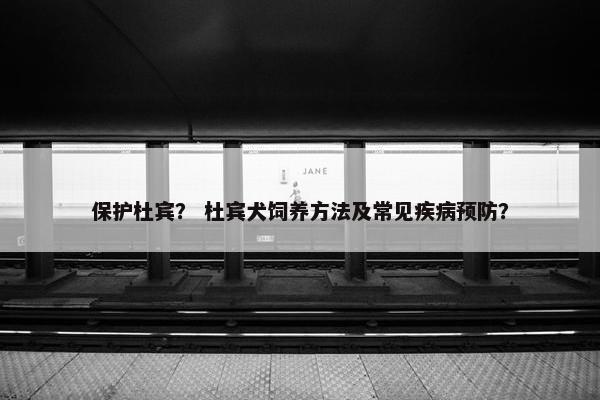 保护杜宾？ 杜宾犬饲养方法及常见疾病预防？