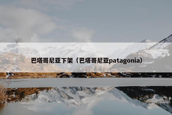 巴塔哥尼亚下架（巴塔哥尼亚patagonia）