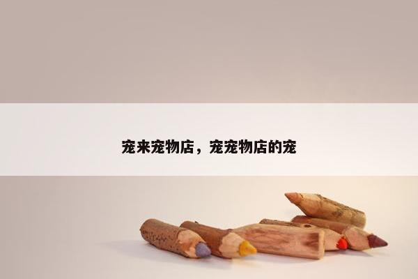 子湾