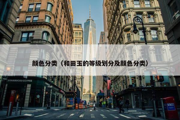 分类
