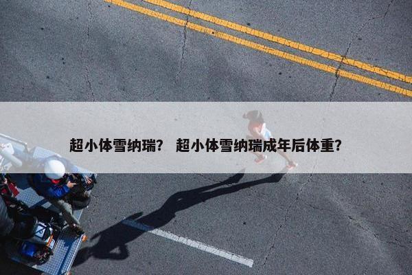 超小体雪纳瑞？ 超小体雪纳瑞成年后体重？