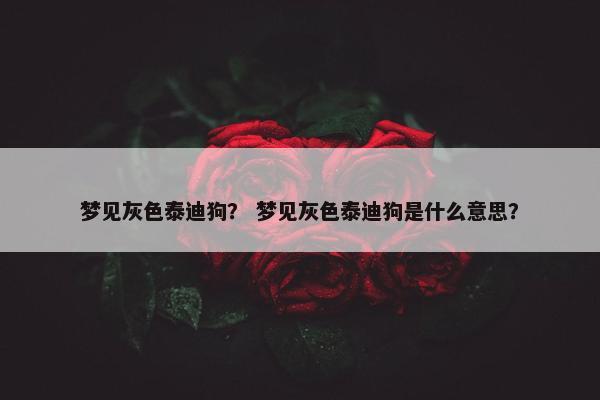 梦见灰色泰迪狗？ 梦见灰色泰迪狗是什么意思？