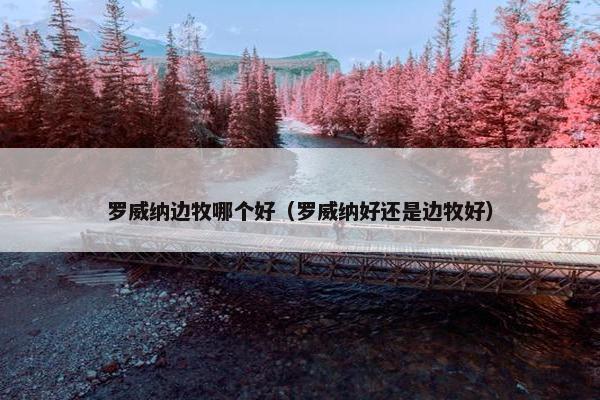 罗威纳边牧哪个好（罗威纳好还是边牧好）
