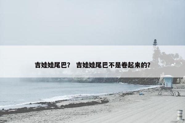 吉娃娃尾巴？ 吉娃娃尾巴不是卷起来的？