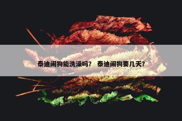 泰迪闹狗能洗澡吗? 泰迪闹狗要几天?