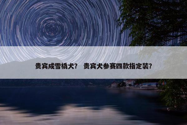 性格 第7页