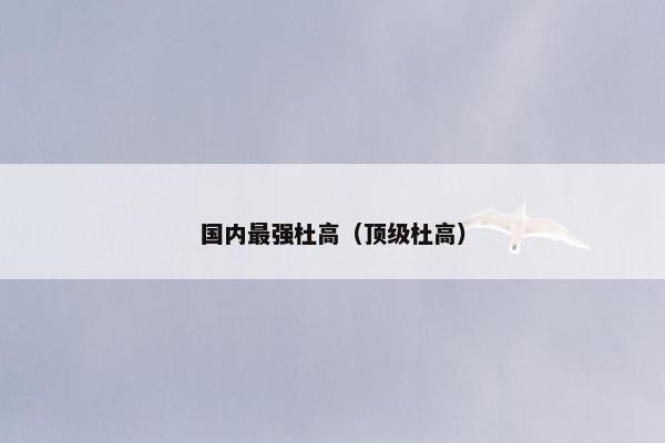 国内最强杜高（顶级杜高）