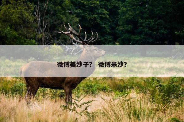 微博美沙子？ 微博米沙？
