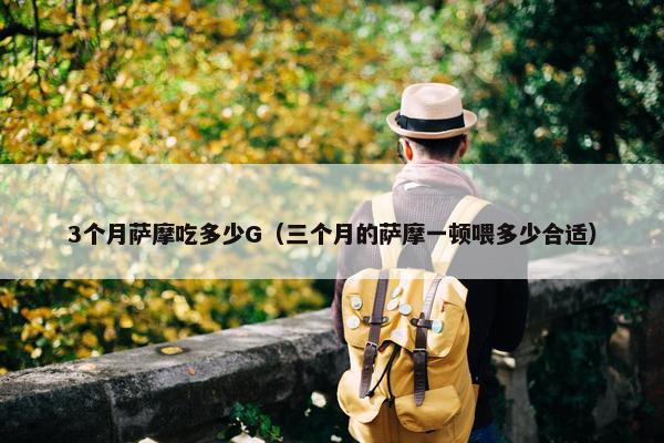 3个月萨摩吃多少G（三个月的萨摩一顿喂多少合适）