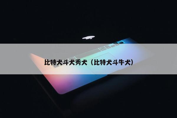 比特犬斗犬秀犬（比特犬斗牛犬）