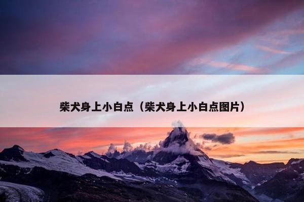 柴犬身上小白点(柴犬身上小白点图片)