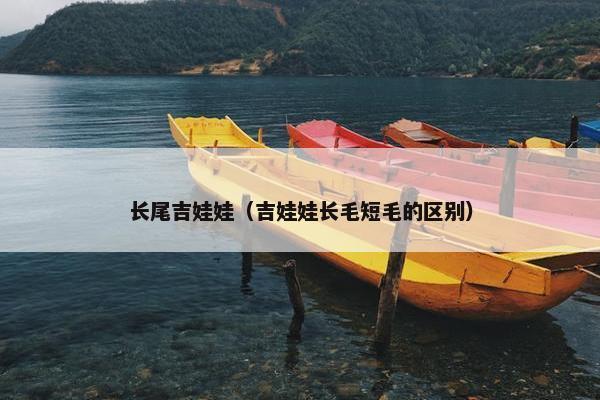 断尾 第3页