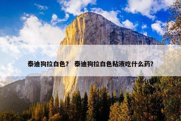 泰迪狗拉白色？ 泰迪狗拉白色粘液吃什么药？