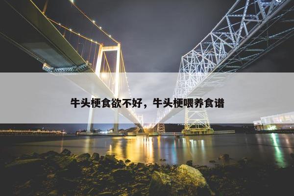 牛头梗食欲不好，牛头梗喂养食谱