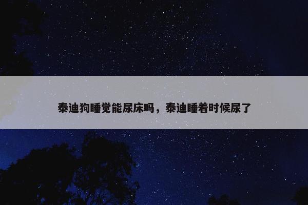 泰迪狗睡觉能尿床吗，泰迪睡着时候尿了