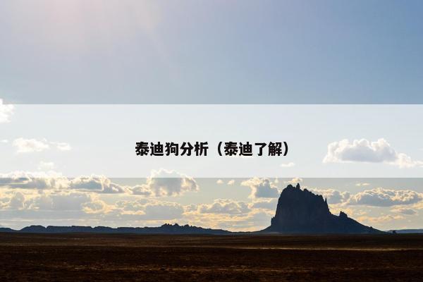 泰迪狗分析（泰迪了解）