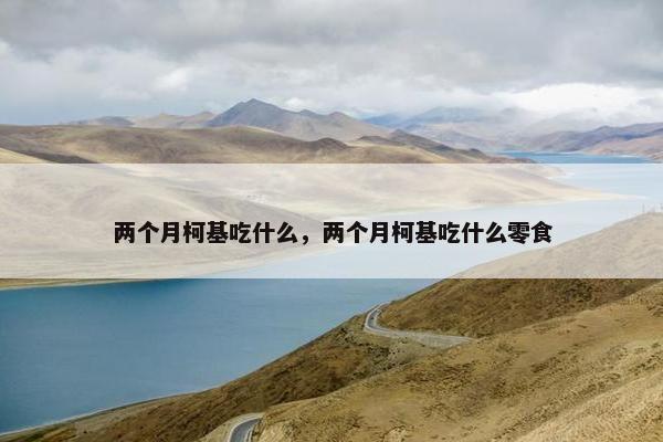 两个月柯基吃什么，两个月柯基吃什么零食