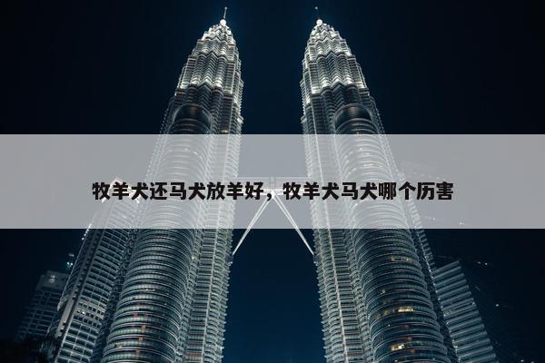 牧羊犬还马犬放羊好，牧羊犬马犬哪个历害