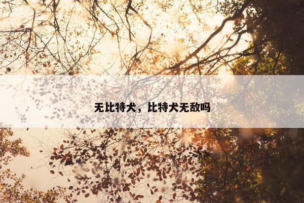 无比特犬，比特犬无敌吗