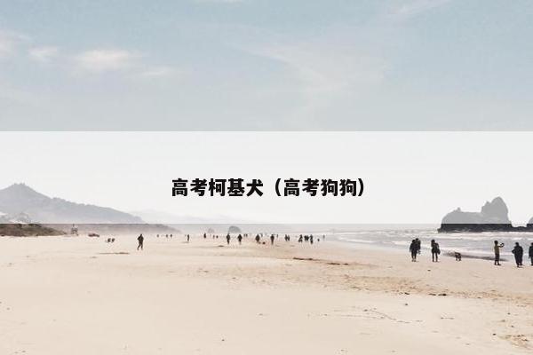 趣事