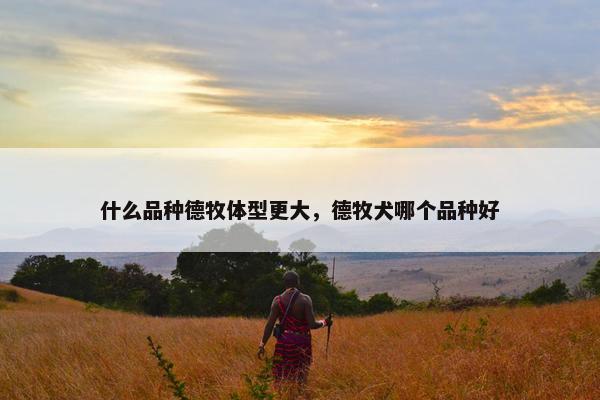 什么品种德牧体型更大,德牧犬哪个品种好