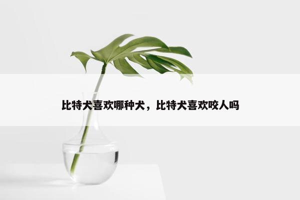 比特犬喜欢哪种犬，比特犬喜欢咬人吗