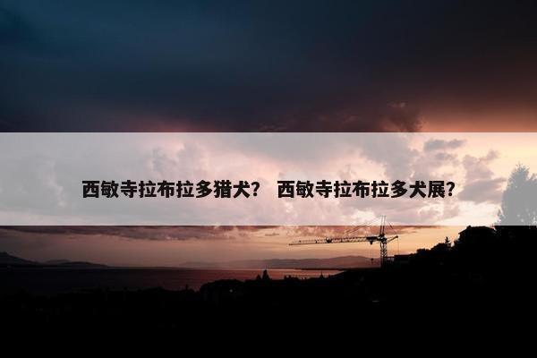 阿诺