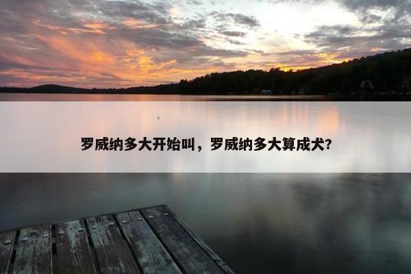 罗威纳多大开始叫,罗威纳多大算成犬?